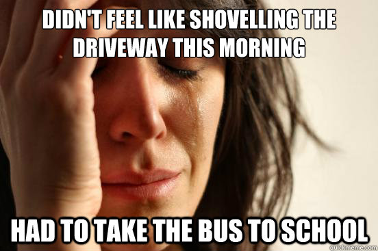 Didn't feel like shovelling the driveway this morning Had to take the bus to school  First World Problems