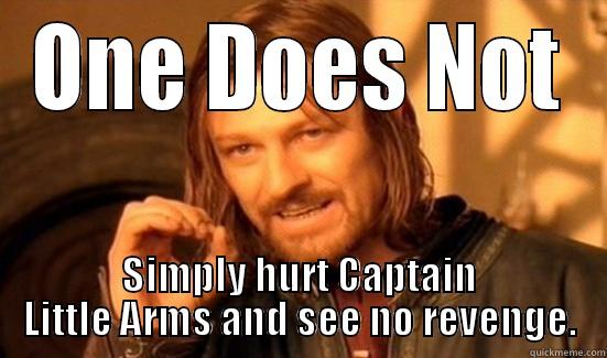 ONE DOES NOT SIMPLY HURT CAPTAIN LITTLE ARMS AND SEE NO REVENGE. Boromir