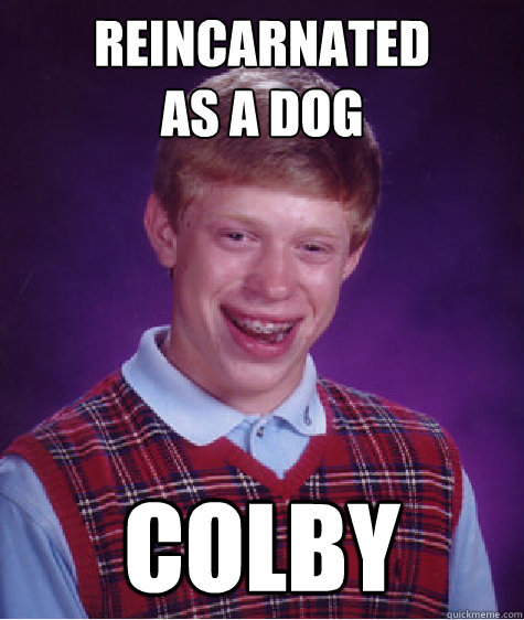 reincarnated
as a dog COLBY - reincarnated
as a dog COLBY  Bad Luck Brian