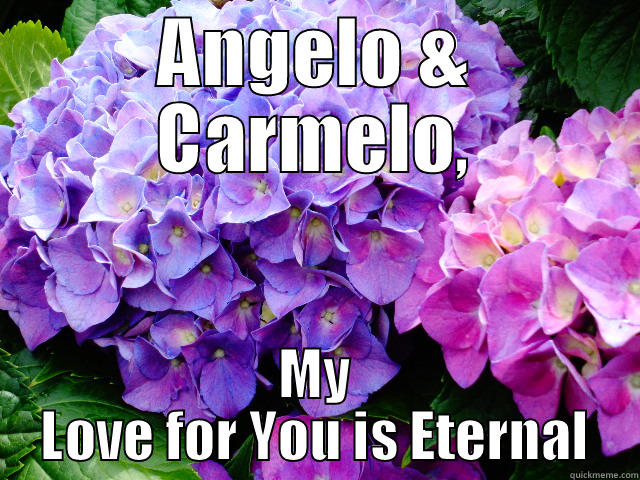 ANGELO & CARMELO, MY LOVE FOR YOU IS ETERNAL Misc