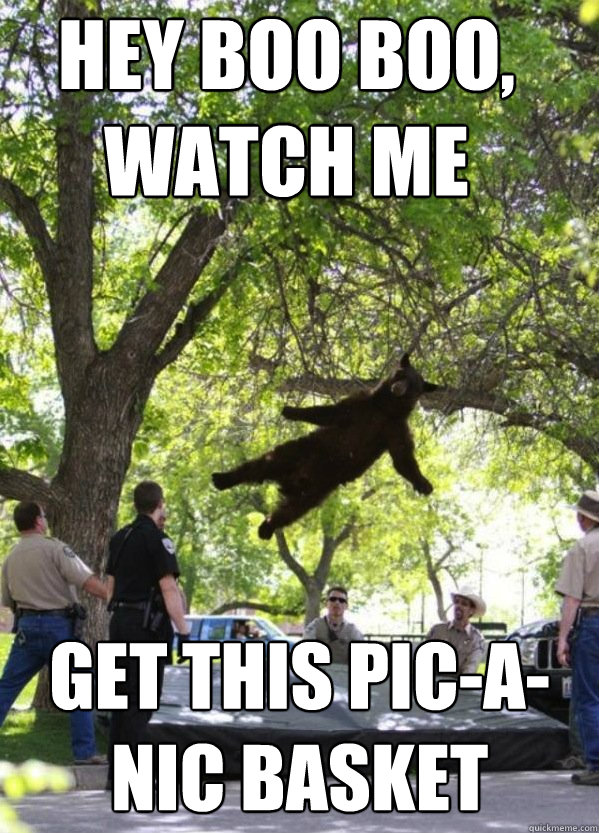 Hey Boo Boo, watch me get this pic-a-nic basket  i am a falling bear