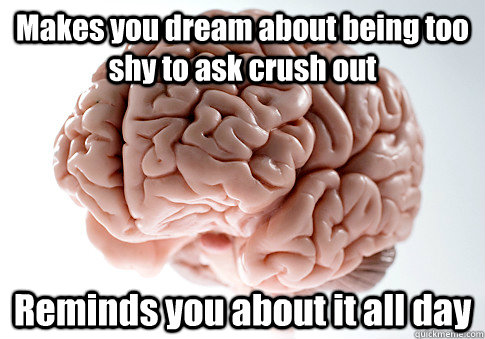 Makes you dream about being too shy to ask crush out Reminds you about it all day  Scumbag Brain