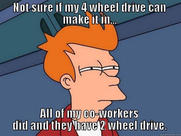 NOT SURE IF MY 4 WHEEL DRIVE CAN MAKE IT IN... ALL OF MY CO-WORKERS DID AND THEY HAVE 2 WHEEL DRIVE. Futurama Fry