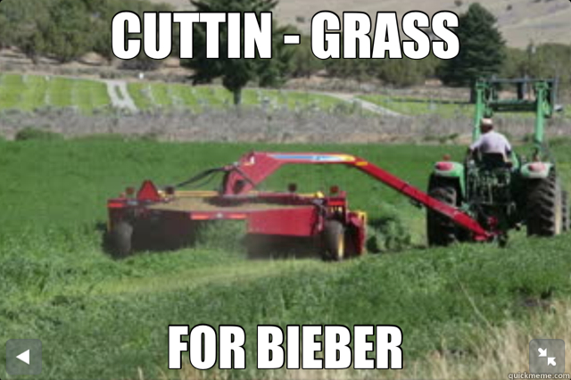 CUTTIN - GRASS FOR BIEBER  cutting grass