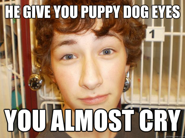 he give you puppy dog eyes you almost cry  