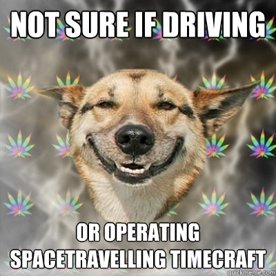 not sure if driving or operating spacetravelling timecraft  Stoner Dog