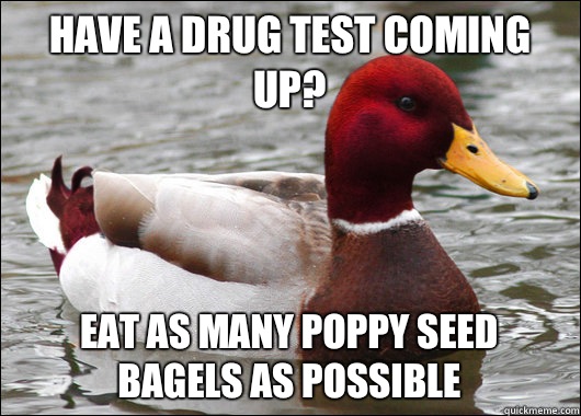 Have a drug test coming up? Eat as many poppy seed bagels as possible  Malicious Advice Mallard