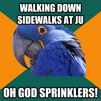 Walking down sidewalks at JU OH GOD SPRINKLERS!  Paranoid Parrot