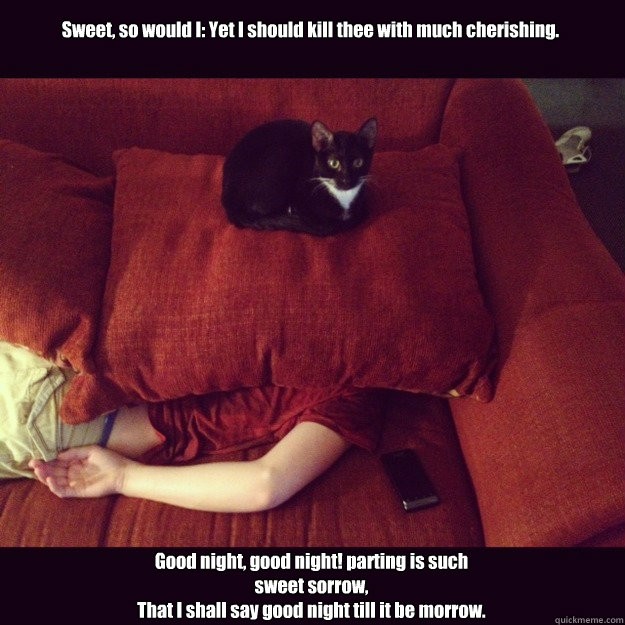 Sweet, so would I: Yet I should kill thee with much cherishing.  Good night, good night! parting is such
sweet sorrow,
That I shall say good night till it be morrow.  jealous cat