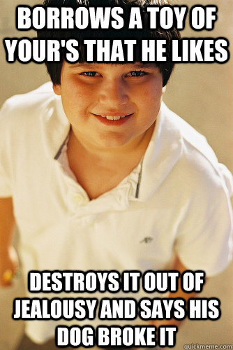 Borrows a toy of your's that he likes Destroys it out of jealousy and says his dog broke it  Annoying Childhood Friend