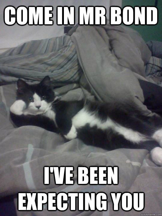 Come In Mr Bond I've been expecting you - Come In Mr Bond I've been expecting you  Misc