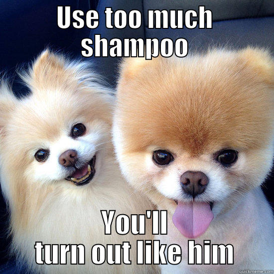 USE TOO MUCH SHAMPOO YOU'LL TURN OUT LIKE HIM Misc
