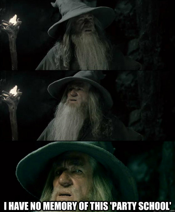  I HAVE NO MEMORY OF THIS 'PARTY SCHOOL'  Confused Gandalf