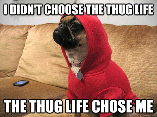I didn't choose the thug life The thug life chose me  Thug Dog