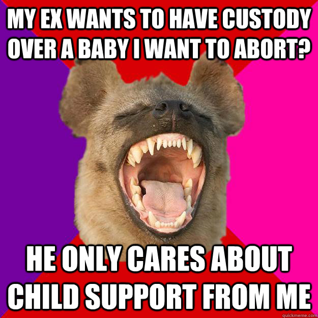 My ex wants to have custody over a baby I want to abort? He only cares about child support from me  Radical Feminist Hyena