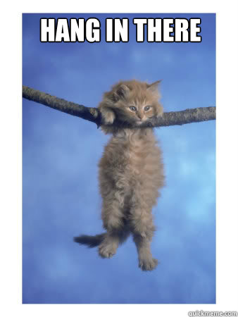 Hang in there 

 - Hang in there 

  Hang In There Kitty