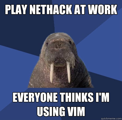 play nethack at work Everyone thinks I'm using VIM - play nethack at work Everyone thinks I'm using VIM  Web Developer Walrus