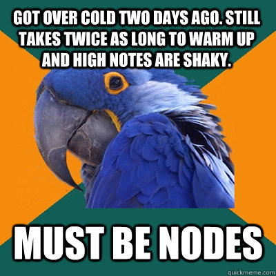 Got over cold two days ago. Still takes twice as long to warm up and high notes are shaky. must be nodes  Paranoid Parrot
