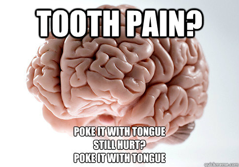 tooth pain? poke it with tongue
still hurt?
poke it with tongue
 - tooth pain? poke it with tongue
still hurt?
poke it with tongue
  Scumbag Brain