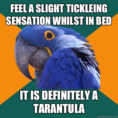 Feel a slight tickleing sensation whilst in bed It is definitely a tarantula   Paranoid Parrot