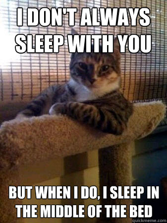 I don't always sleep with you but when I do, I sleep in the middle of the bed  The Most Interesting Cat in the World