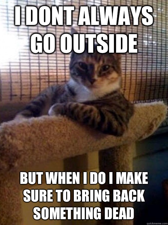 i dont always go outside but when i do i make sure to bring back something dead  The Most Interesting Cat in the World