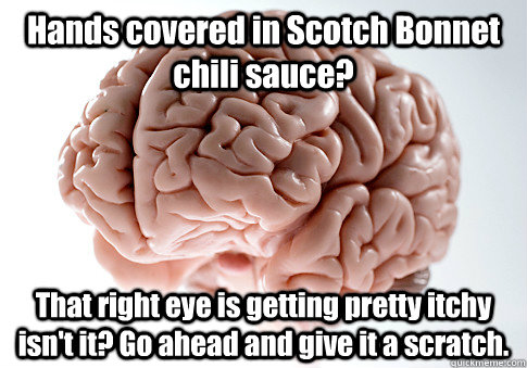 Hands covered in Scotch Bonnet chili sauce? That right eye is getting pretty itchy isn't it? Go ahead and give it a scratch.  Caption 4 goes here  Scumbag Brain
