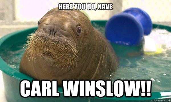 Here you go, Nave Carl Winslow!!  Worried Walrus