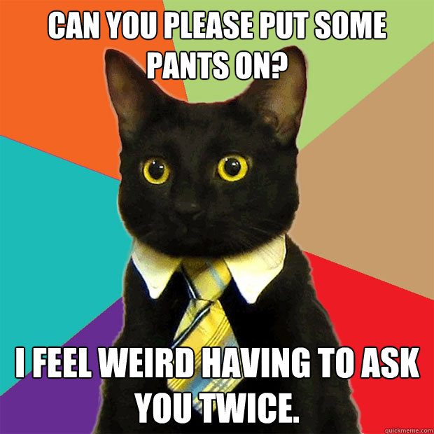 Can you please put some pants on? I feel weird having to ask you twice.  Business Cat