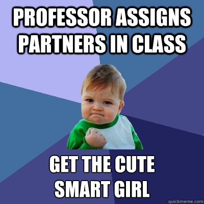 professor assigns partners in class get the cute
smart girl  Success Kid