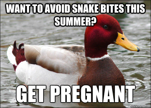 Want to avoid snake bites this summer? Get pregnant  Malicious Advice Mallard