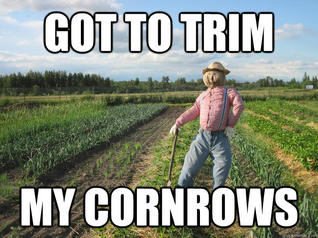 got to trim my cornrows  Scarecrow