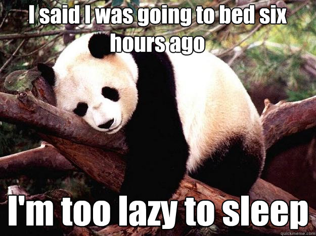 I said I was going to bed six hours ago I'm too lazy to sleep   Procrastination Panda