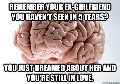 Remember your ex-girlfriend you haven't seen in 5 years? You just dreamed about her and you're still in love.  ScumbagBrain