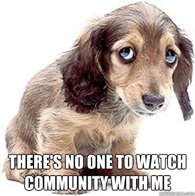  there's no one to watch community with me  Sad Puppy