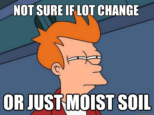 Not sure if lot change or just moist soil  Futurama Fry
