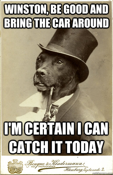 Winston, be good and bring the car around I'm certain I can catch it today - Winston, be good and bring the car around I'm certain I can catch it today  Old Money Dog