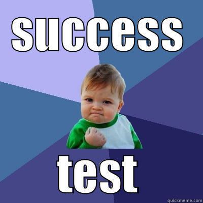 SUCCESS TEST Success Kid