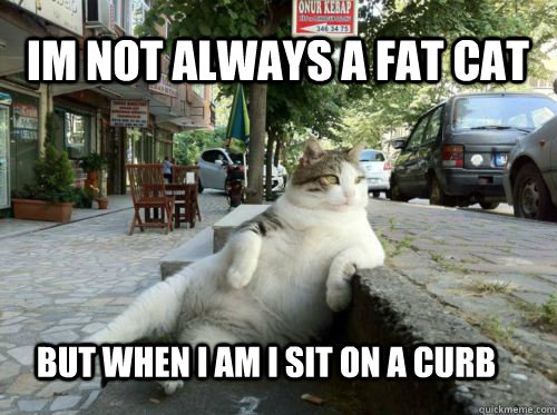 IM NOT ALWAYS A FAT CAT BUT WHEN I AM I SIT ON A CURB  