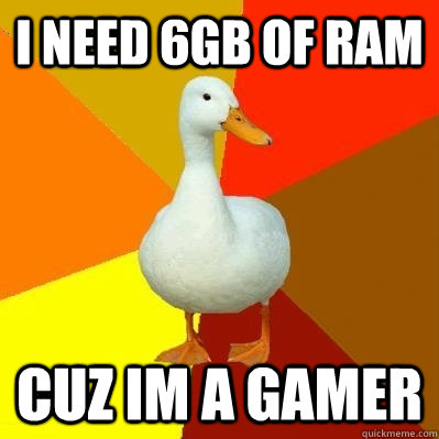 I need 6gb of ram cuz im a gamer  Tech Impaired Duck