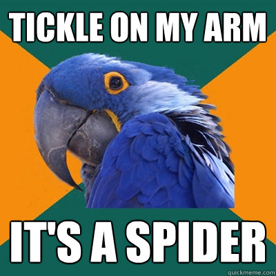 Tickle on my arm it's a spider  Paranoid Parrot