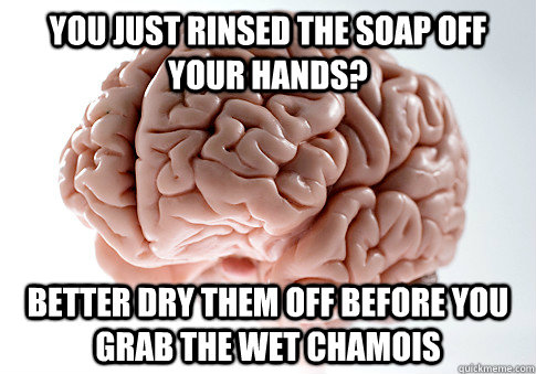 You just rinsed the soap off your hands? Better dry them off before you grab the wet chamois   Scumbag Brain
