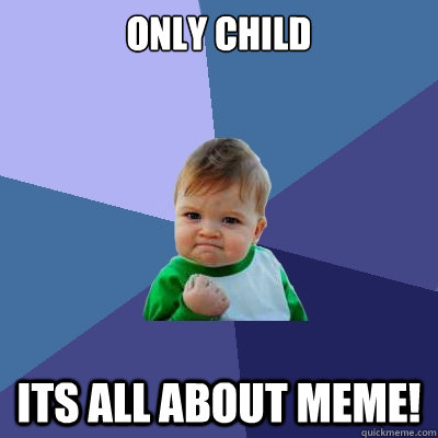 only child its all about MEME! - only child its all about MEME!  Success Kid