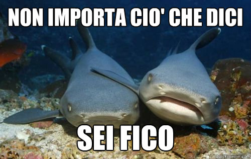non importa cio' che dici sei fico   Compassionate Shark Friend