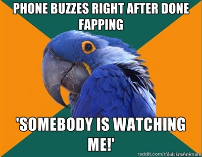    Paranoid Parrot