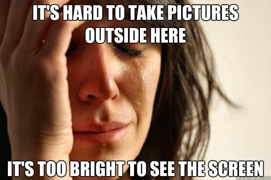 It's hard to take pictures outside here It's too bright to see the screen  First World Problems