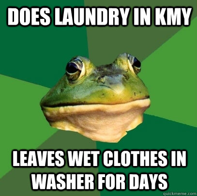 Does laundry in KMY Leaves wet clothes in washer for days  Foul Bachelor Frog