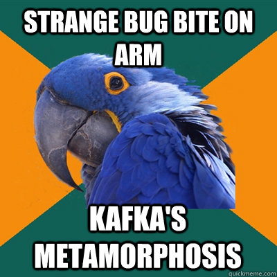 Strange bug bite on arm Kafka's Metamorphosis  Paranoid Parrot