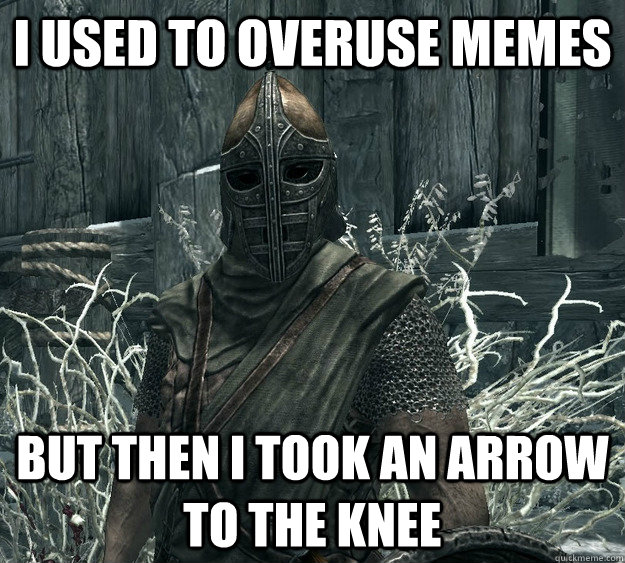 i used to overuse memes but then i took an arrow to the knee  Skyrim Guard