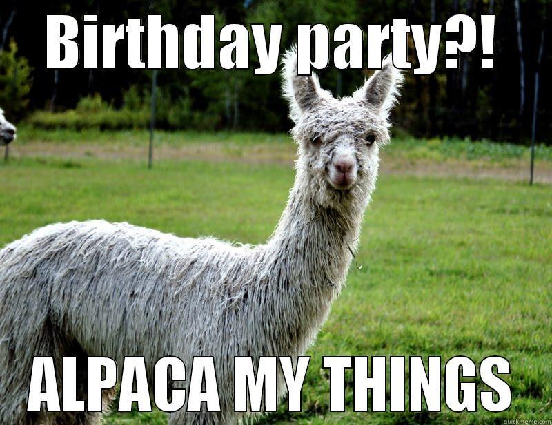 BIRTHDAY PARTY?! ALPACA MY THINGS Misc